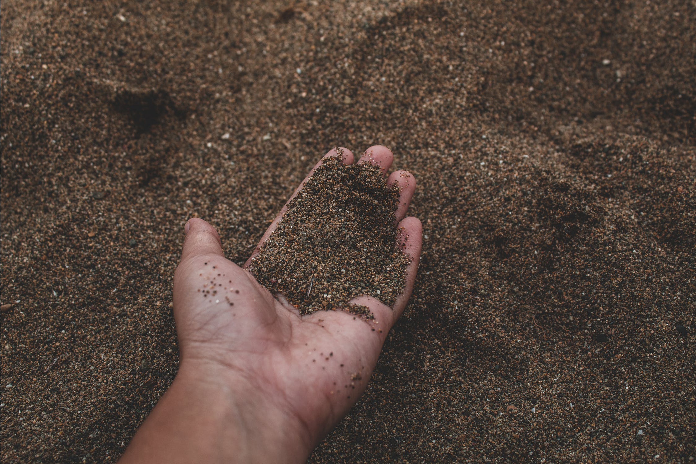 How To Improve Sandy Soils Kinney Nursery And Topsoil